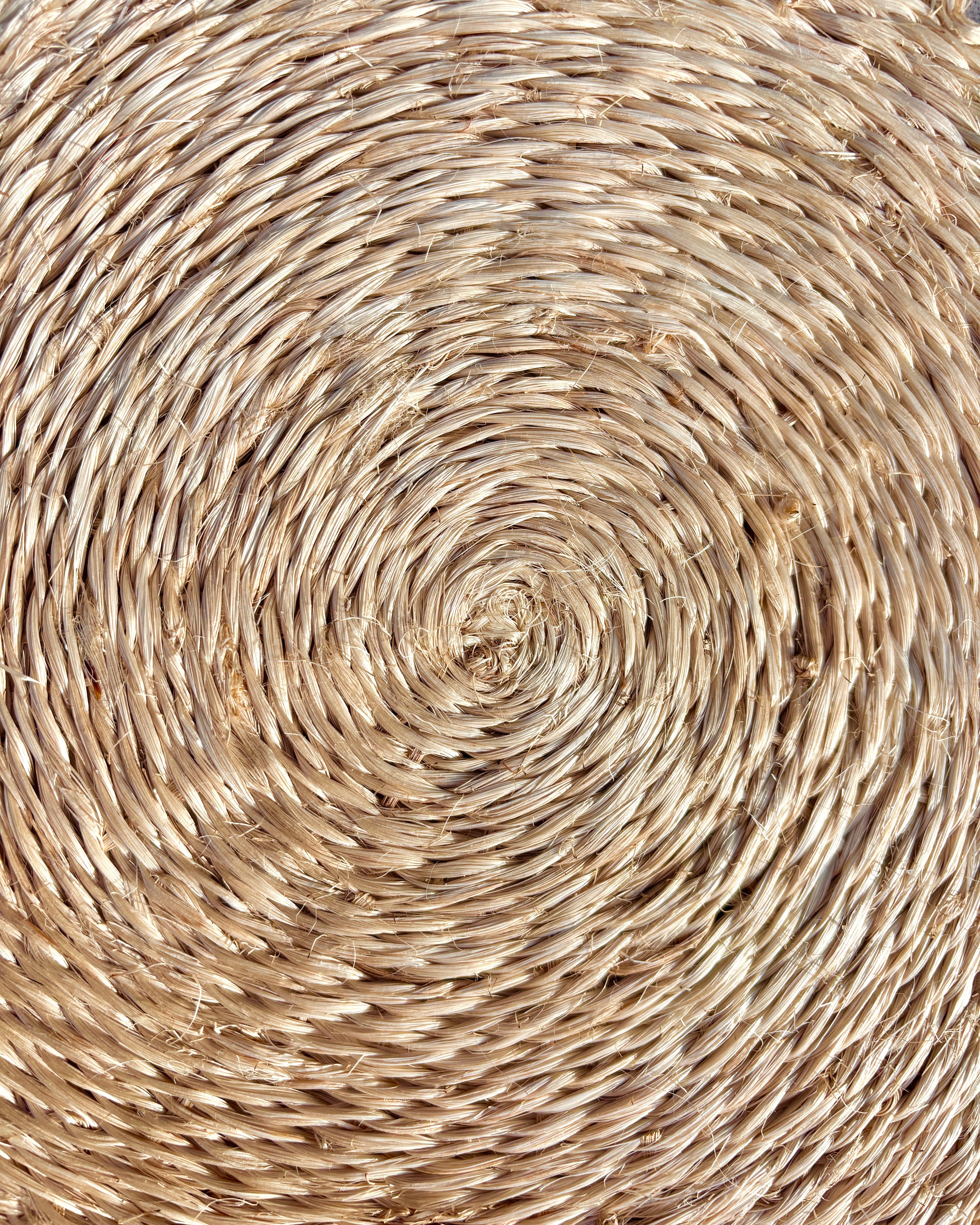 Orbis Lacteus Placemat