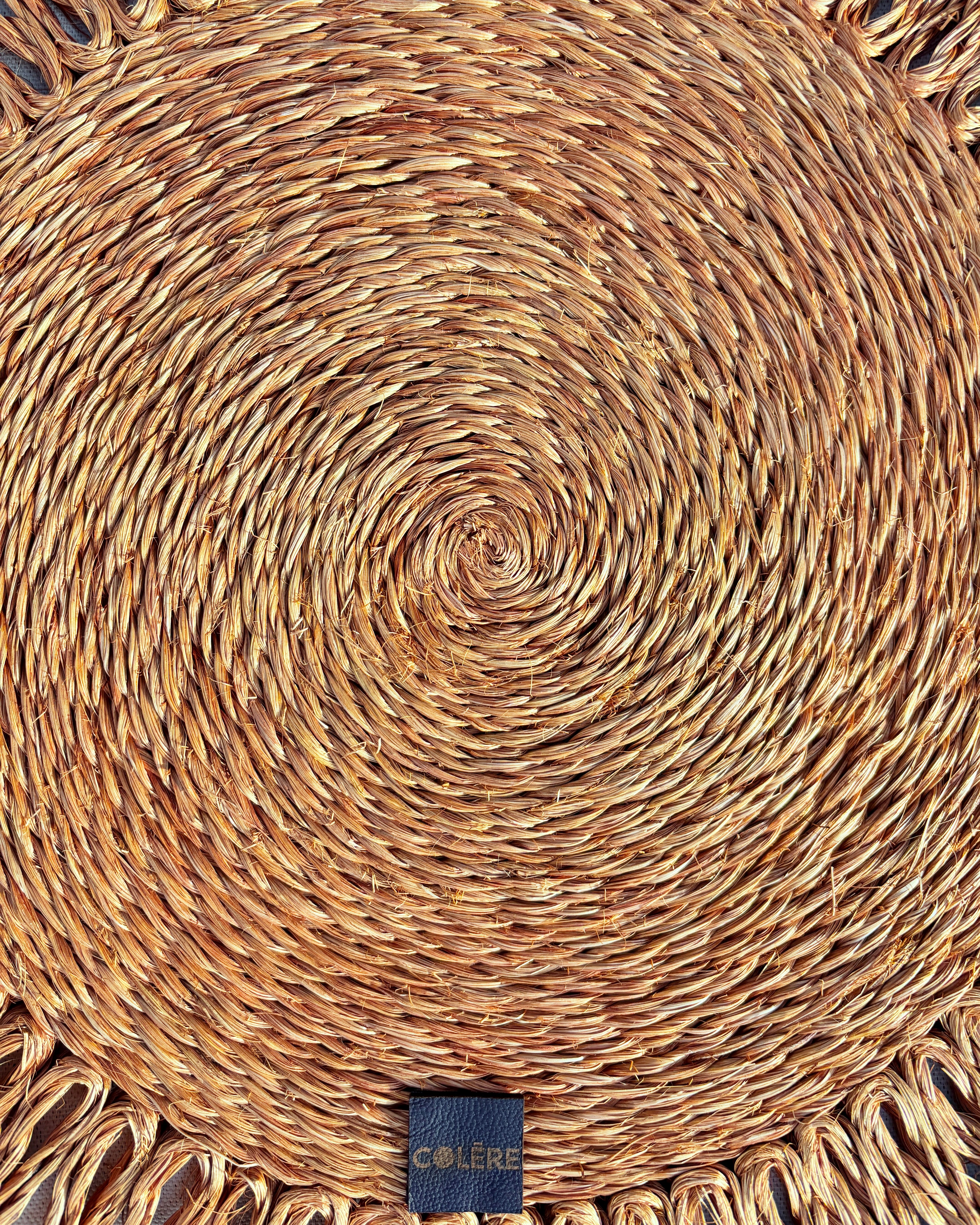 Orbis Terra Placemat
